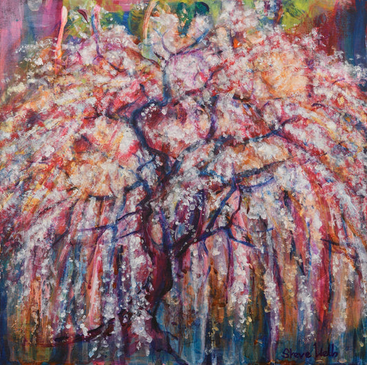 Weeping Cherry