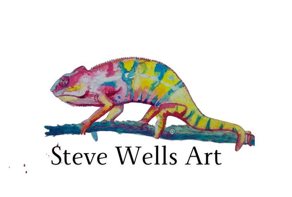 Steve Wells Art Studio