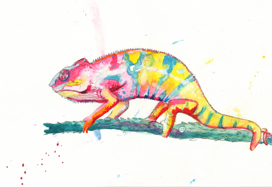 Pink Chamelon Giclee Print